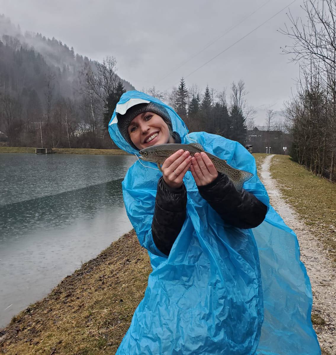 Datacenter migration illustration